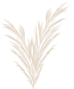 Plante site Olivia
